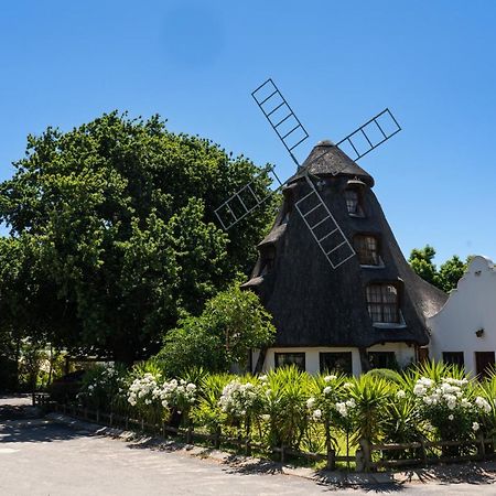 De Hollandsche Molen Villa Hou Moed Exterior photo